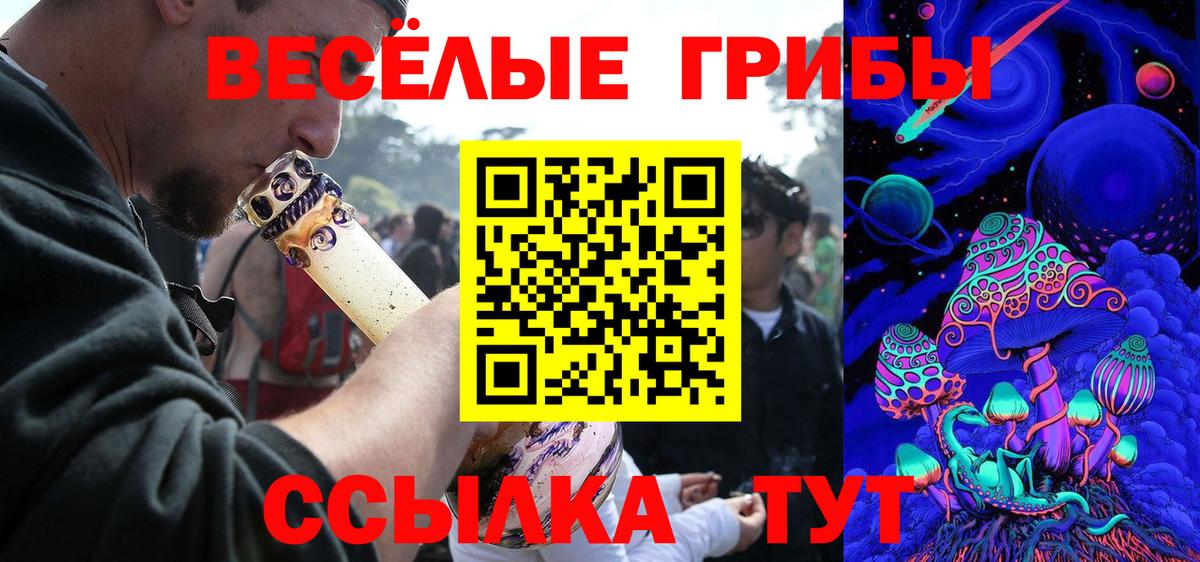 Галлюциногенные грибы прущие грибы  Вход с VPN  Черногорск 